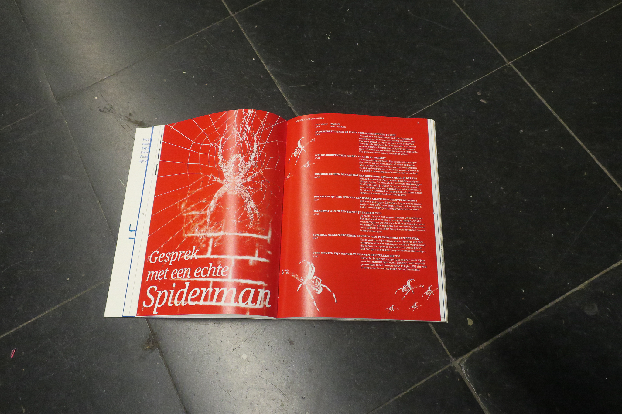 Shapes Magazine